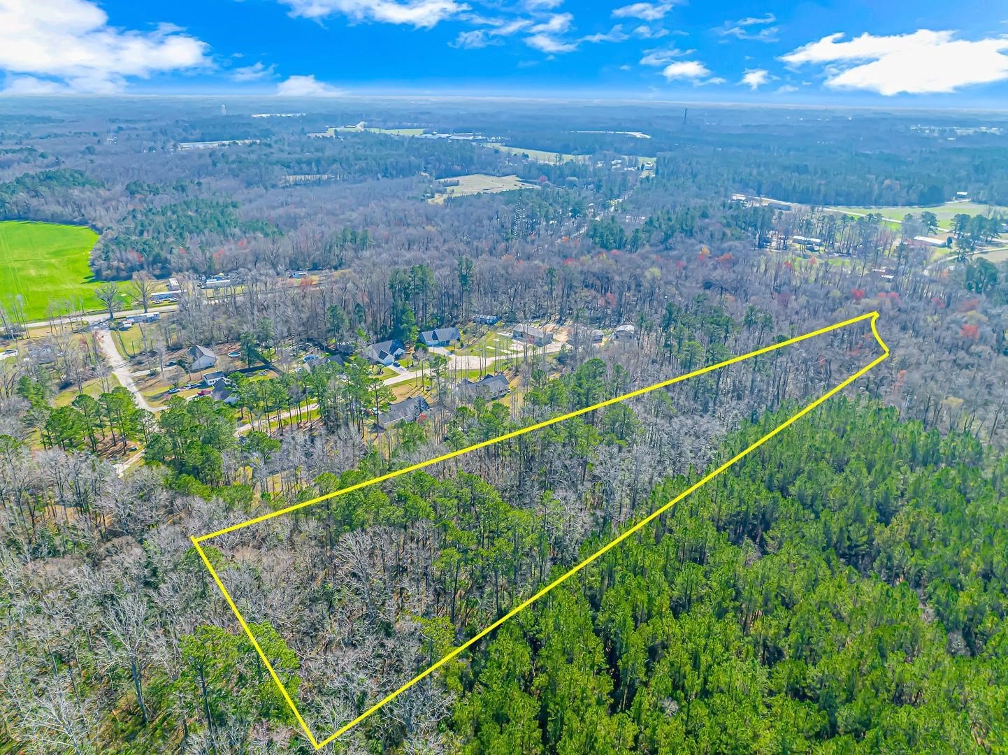 Tbd Gavin Hill Court Aynor, SC 29511 - Photo 3 of 11