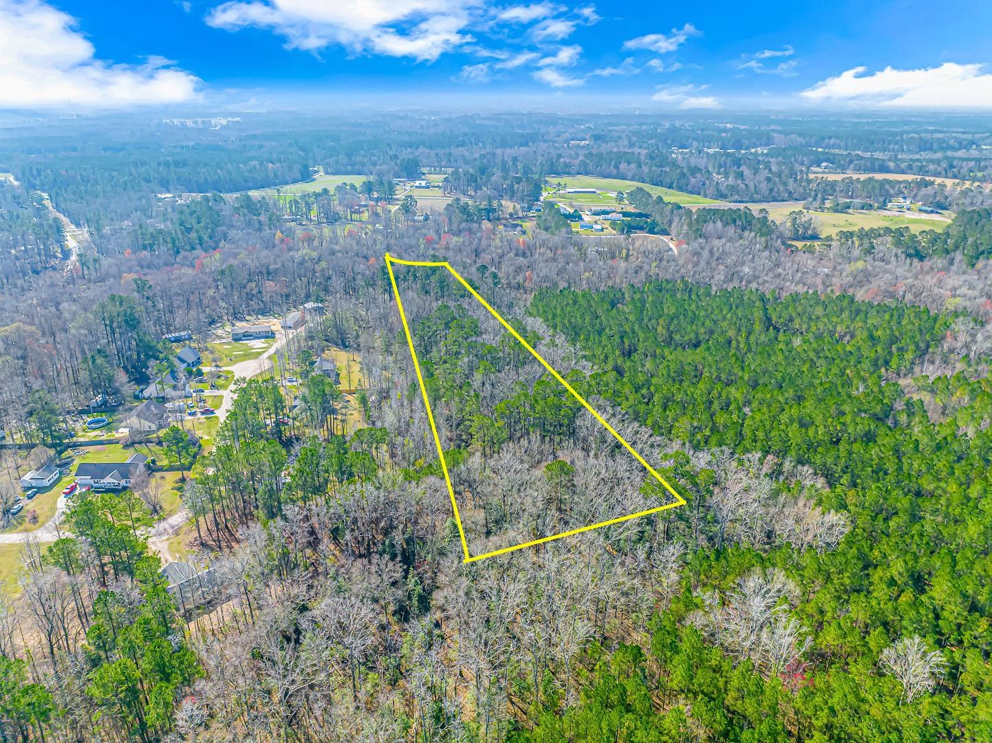 Tbd Gavin Hill Court Aynor, SC 29511 - Photo 4 of 11