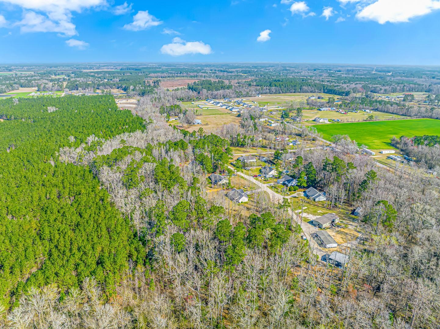 Tbd Gavin Hill Court Aynor, SC 29511 - Photo 5 of 11