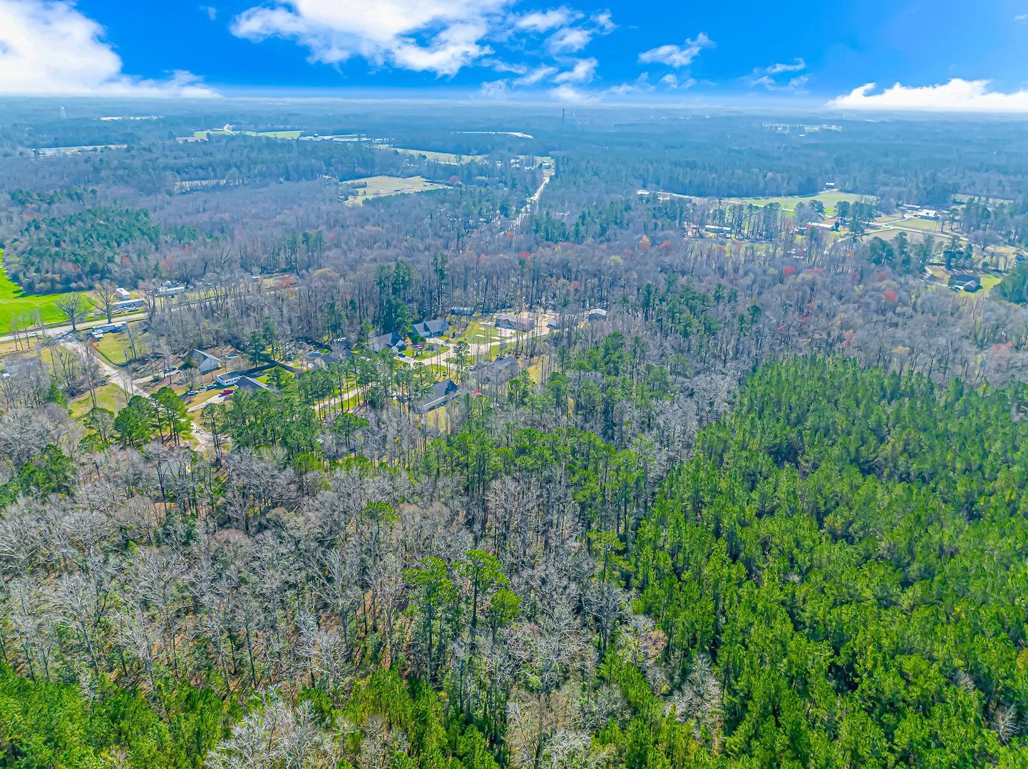 Tbd Gavin Hill Court Aynor, SC 29511 - Photo 6 of 11