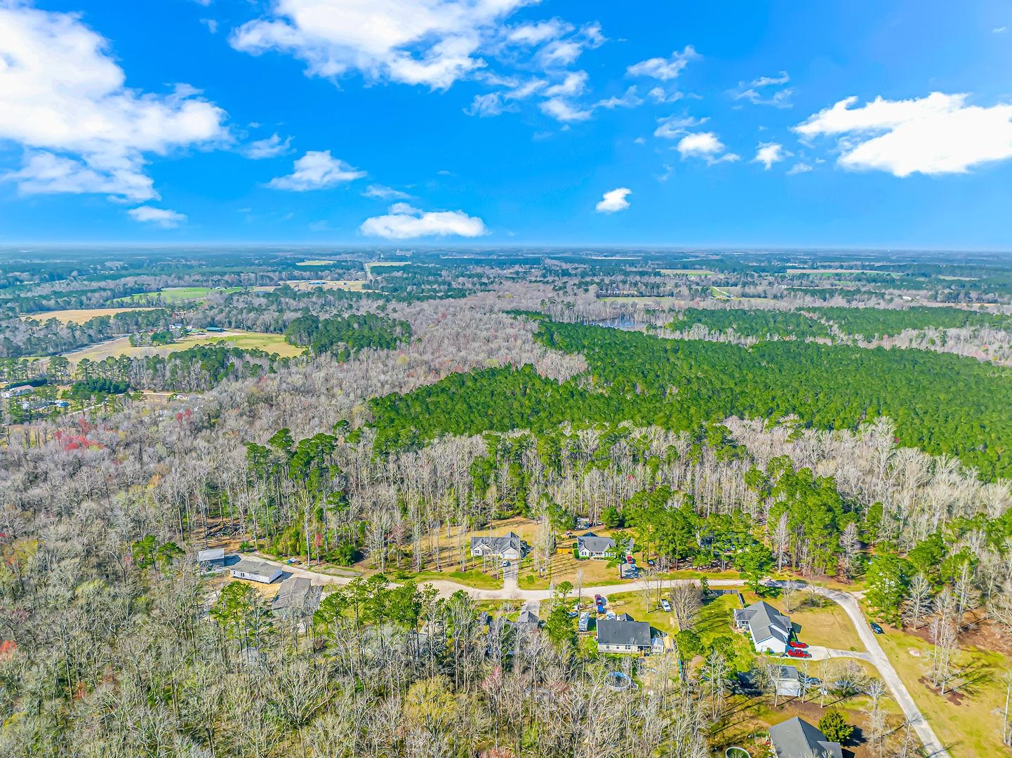 Tbd Gavin Hill Court Aynor, SC 29511 - Photo 7 of 11