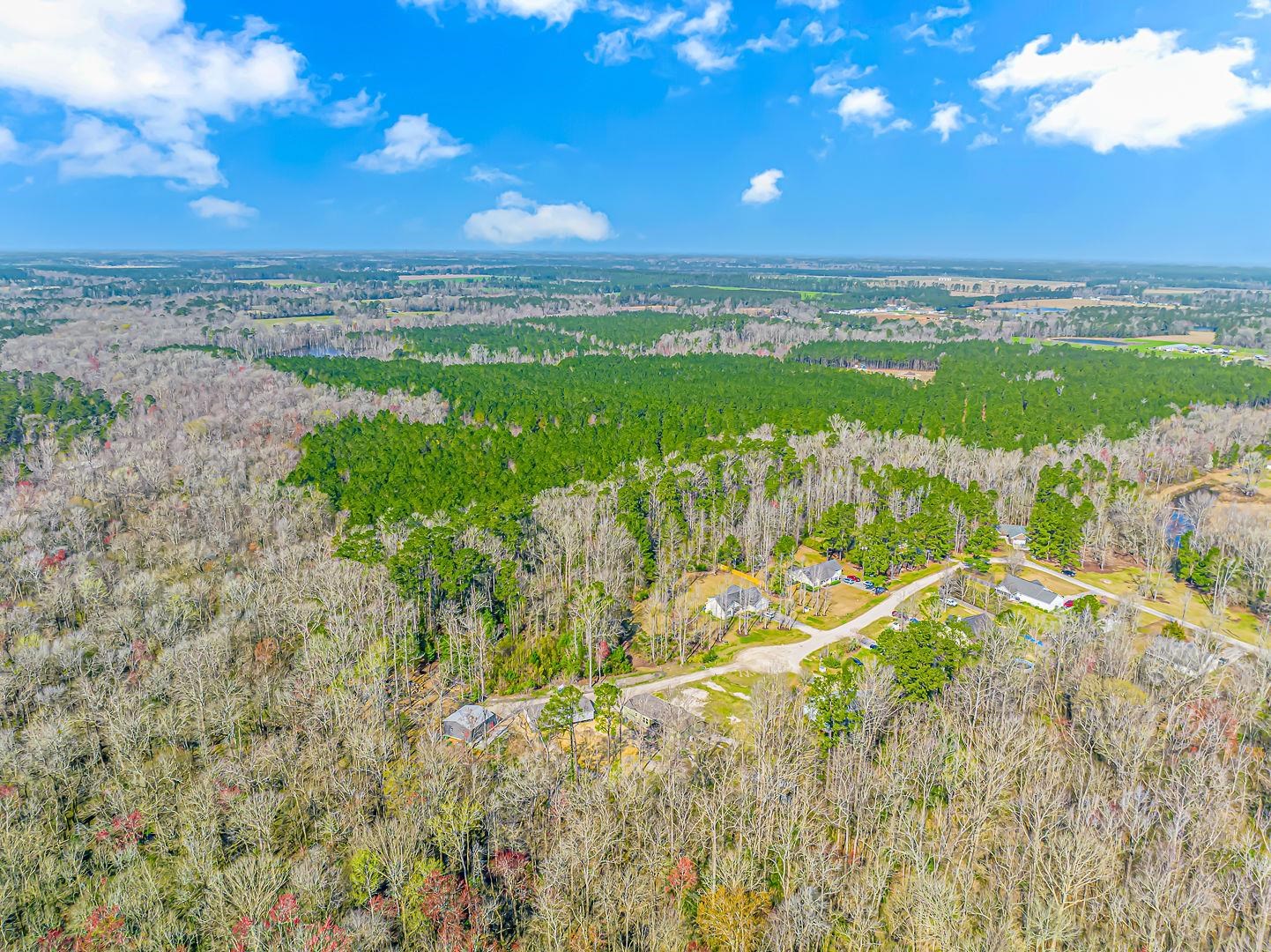 Tbd Gavin Hill Court Aynor, SC 29511 - Photo 9 of 11