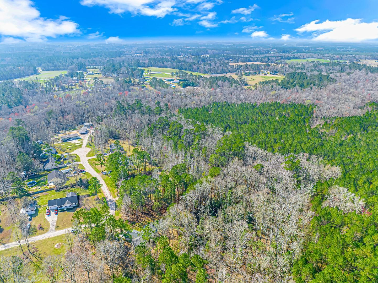 Tbd Gavin Hill Court Aynor, SC 29511 - Photo 10 of 11