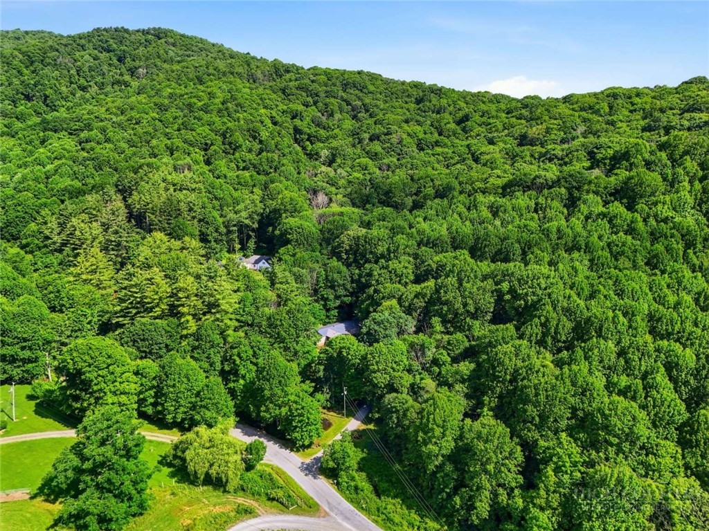 984 Cobbs Creek Road Boone, NC 28607 - Photo 25 of 25