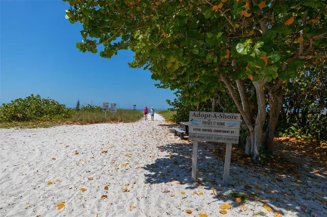 a wooden bench with a trees in the background