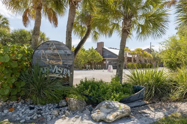 a garden with palm trees