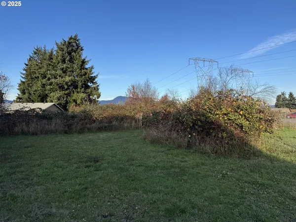 a view of a field of grass and trees