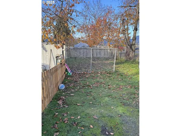 a view of a backyard