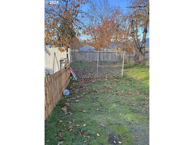 a view of a backyard