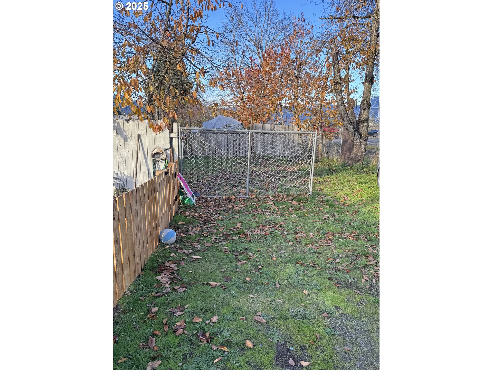 B Street Springfield, OR 97478 - Photo 4 of 4 a view of a backyard