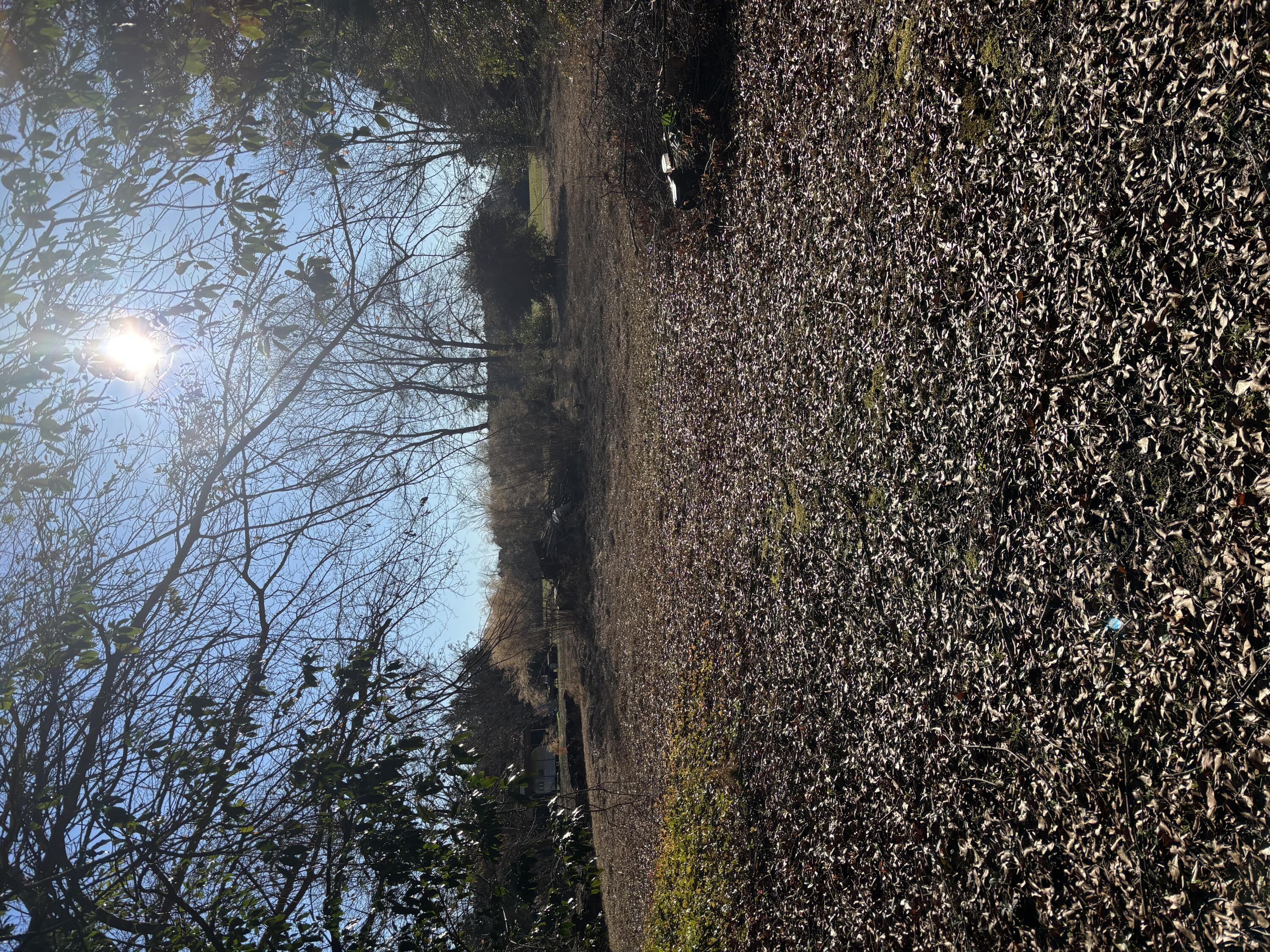 3670 Highway 15 Sumter, SC 29153 - Photo 85 of 91