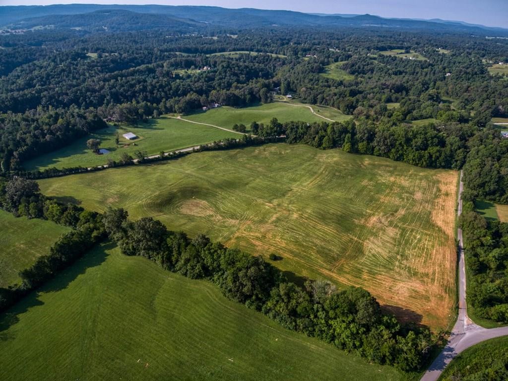 0 East Gooseneck Road East Doyle, TN 38559 - Photo 9 of 18 Gallery Image 9