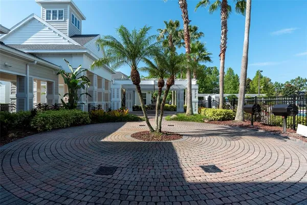 a view of a backyard with plants and palm tree