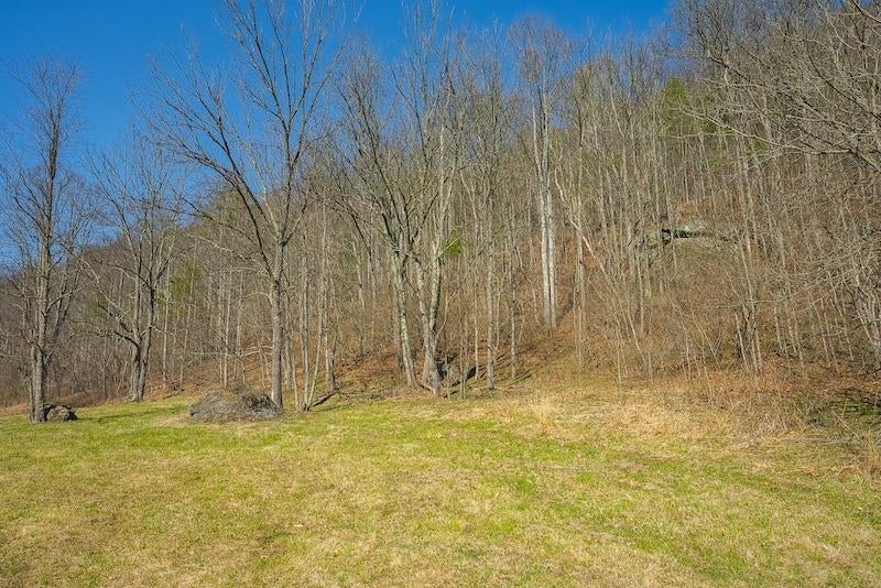 Tbd Stillhouse Road Laurel Fork, VA 24352 - Photo 9 of 64 Gallery Image 9