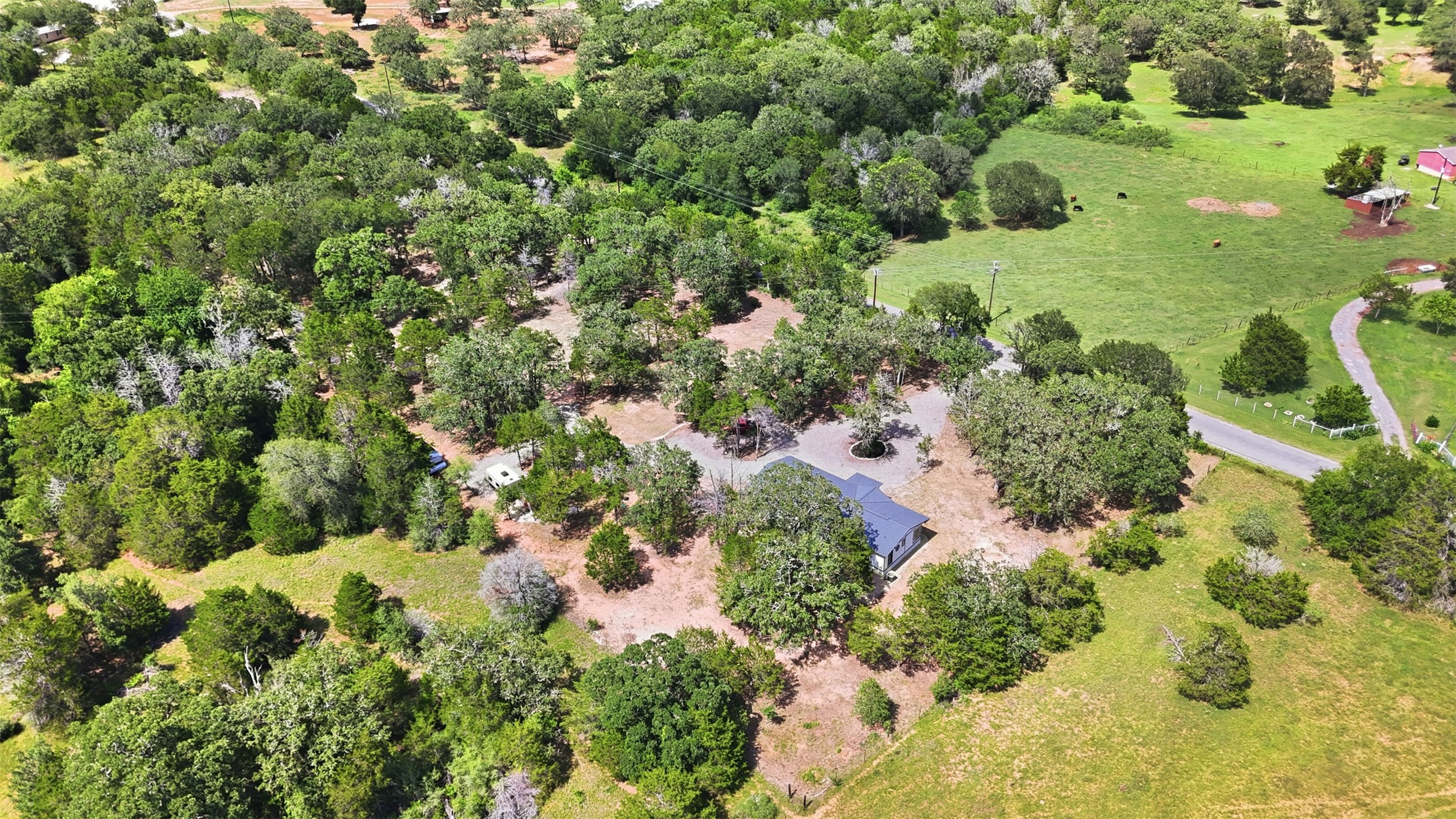 154 Antioch Road Smithville, TX 78957 - Photo 28 of 32 A private, tree-lined road leads to this charming rural home, nestled amidst green fields.