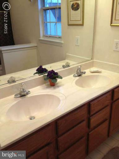 730 Monarch Ridge Road Frederick, MD 21703 - Photo 16 of 30 a bathroom with a sink and a mirror