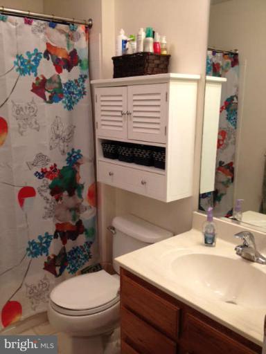 730 Monarch Ridge Road Frederick, MD 21703 - Photo 23 of 30 a bathroom with a sink a toilet and a mirror