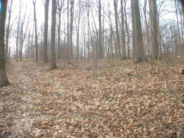 Stephenson Road Onsted, MI 49265 - Photo 5 of 14