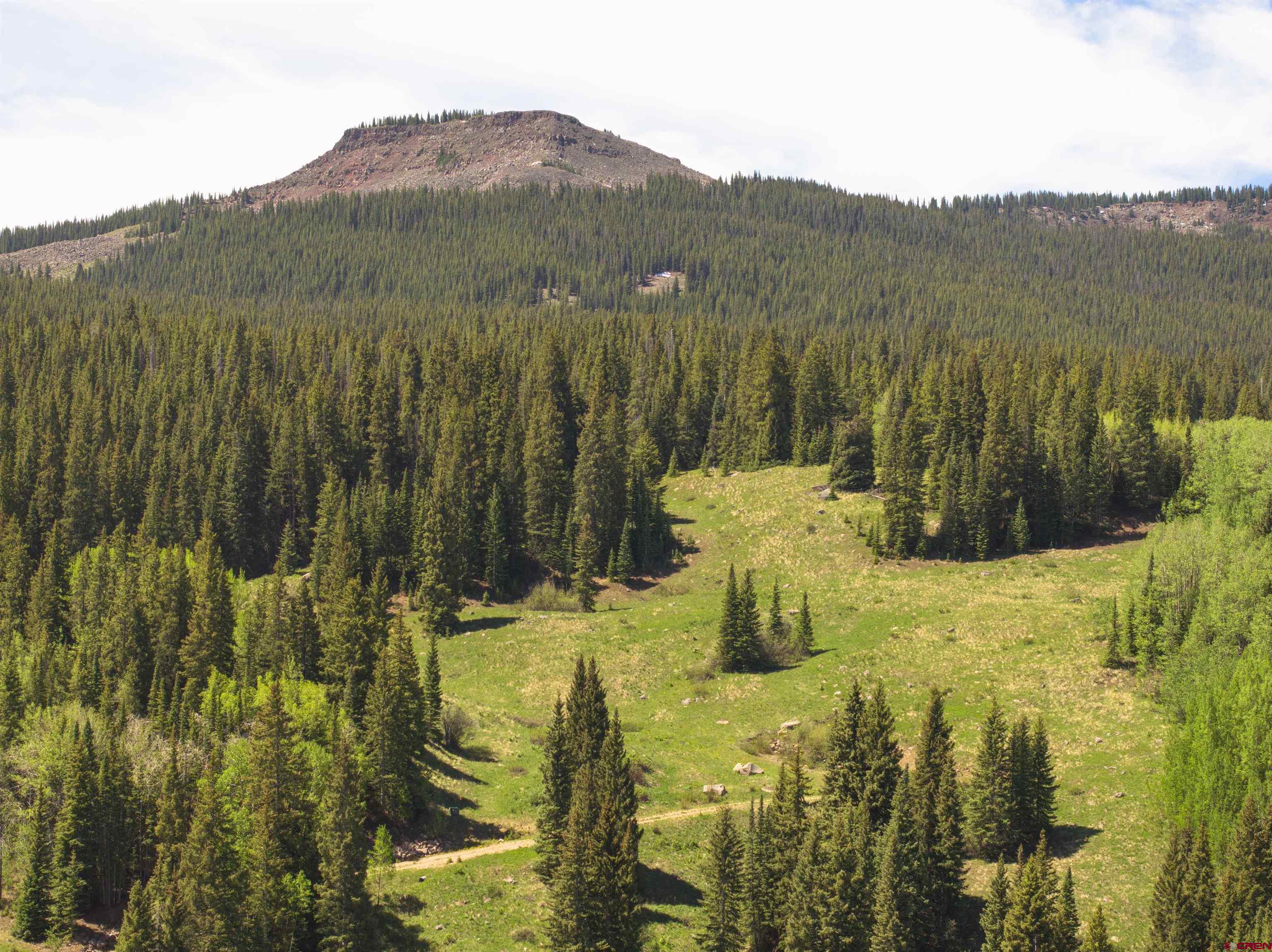 1371 Red Mountain Ranch Road Crested Butte, CO 81224 - Photo 14 of 41