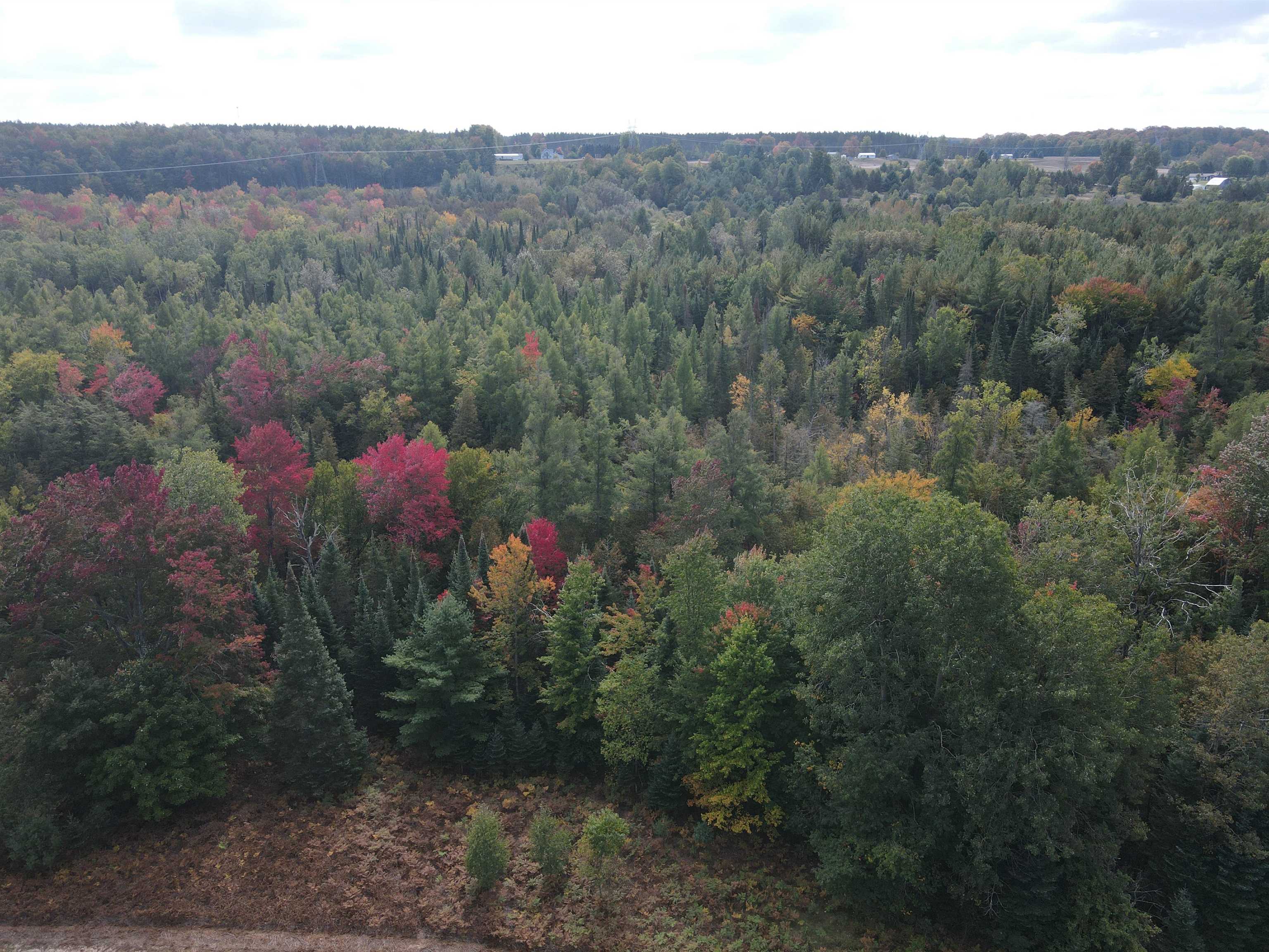 90 A Ridgeview Drive Kalkaska, MI 49646 - Photo 8 of 75