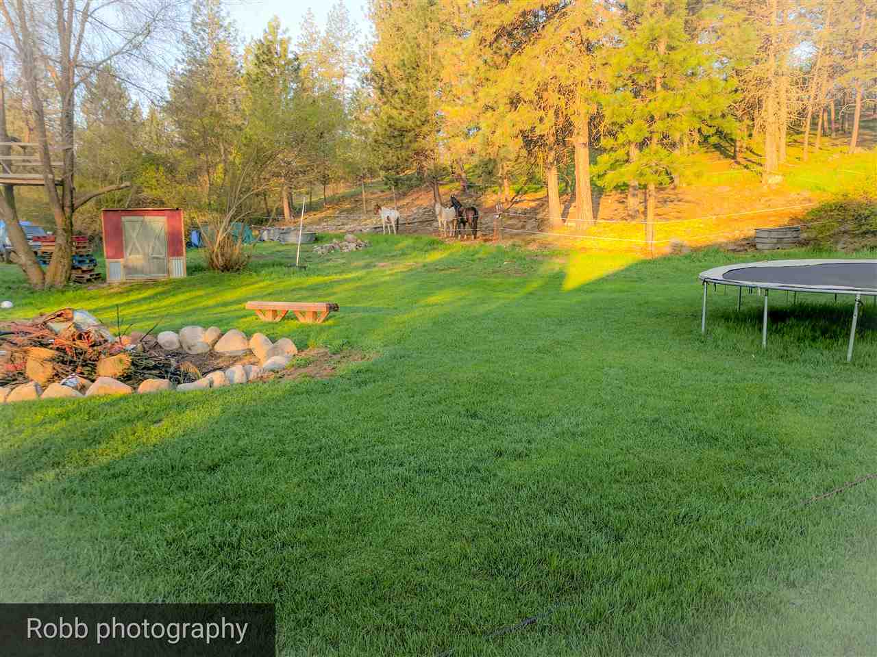 26717 North Yale Road Chattaroy, WA 99003 - Photo 17 of 20