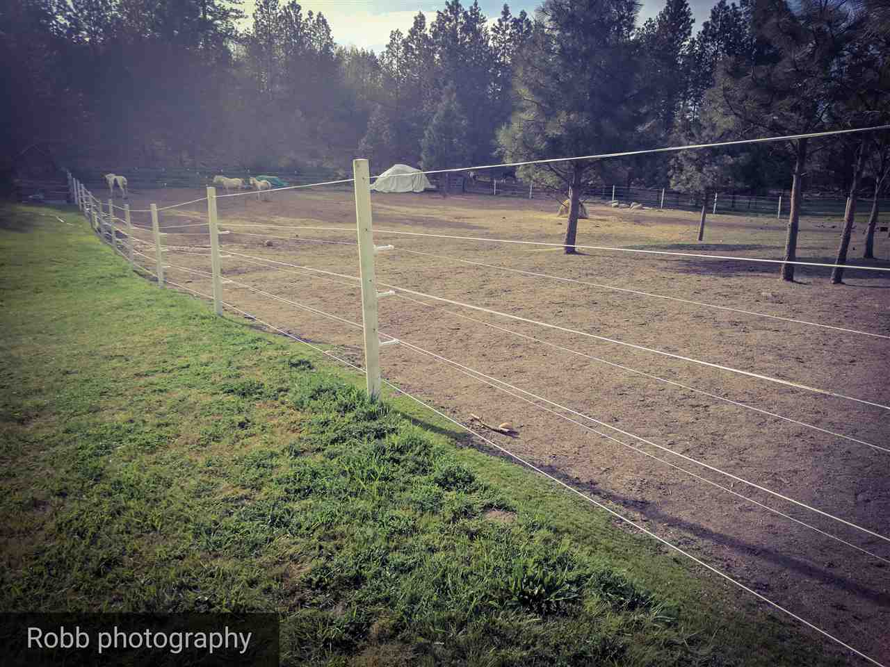 26717 North Yale Road Chattaroy, WA 99003 - Photo 18 of 20