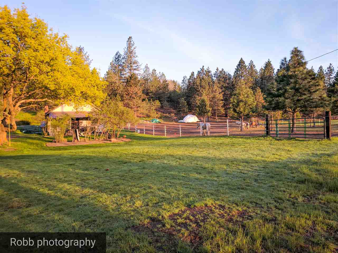 26717 North Yale Road Chattaroy, WA 99003 - Photo 19 of 20