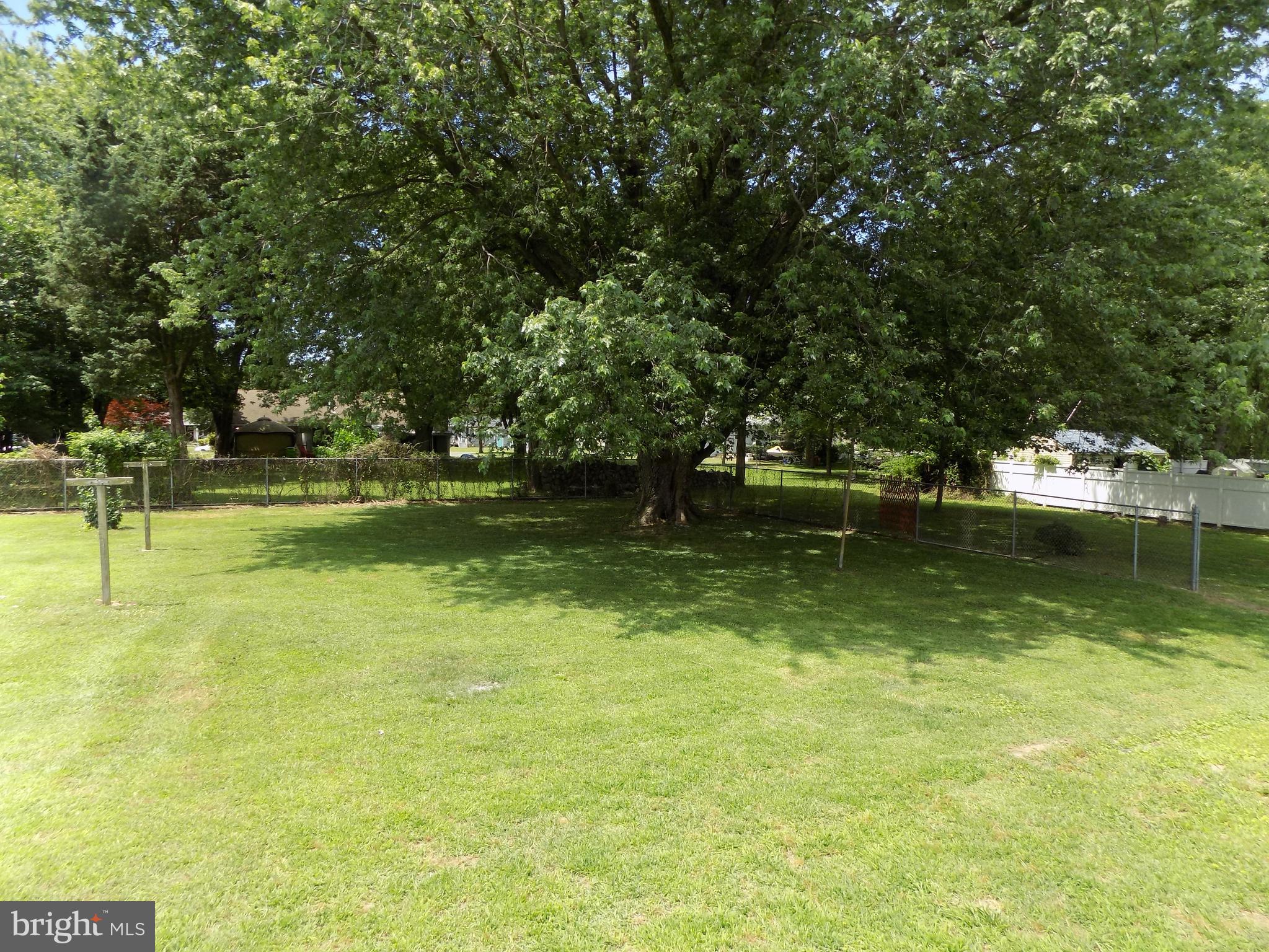 620 Romancoke Road Stevensville, MD 21666 - Photo 6 of 47 Spacious and private back yard.