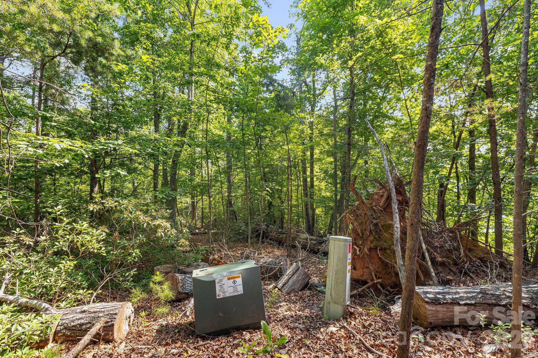0 Canoe Drive, Unit 40 Mill Spring, NC 28756 - Photo 12 of 23