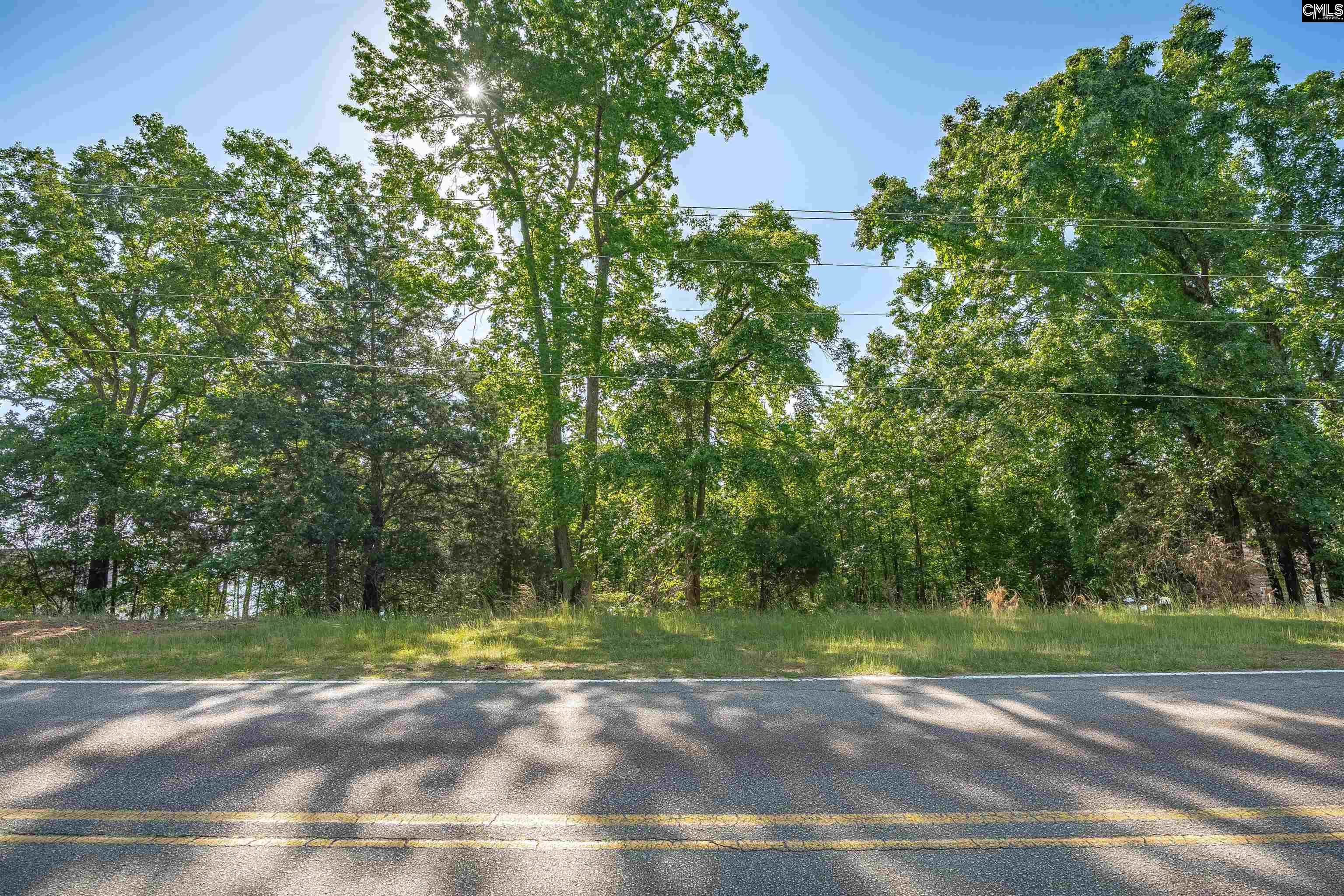 2022 Lake Road Ridgeway, SC 29130 - Photo 21 of 21