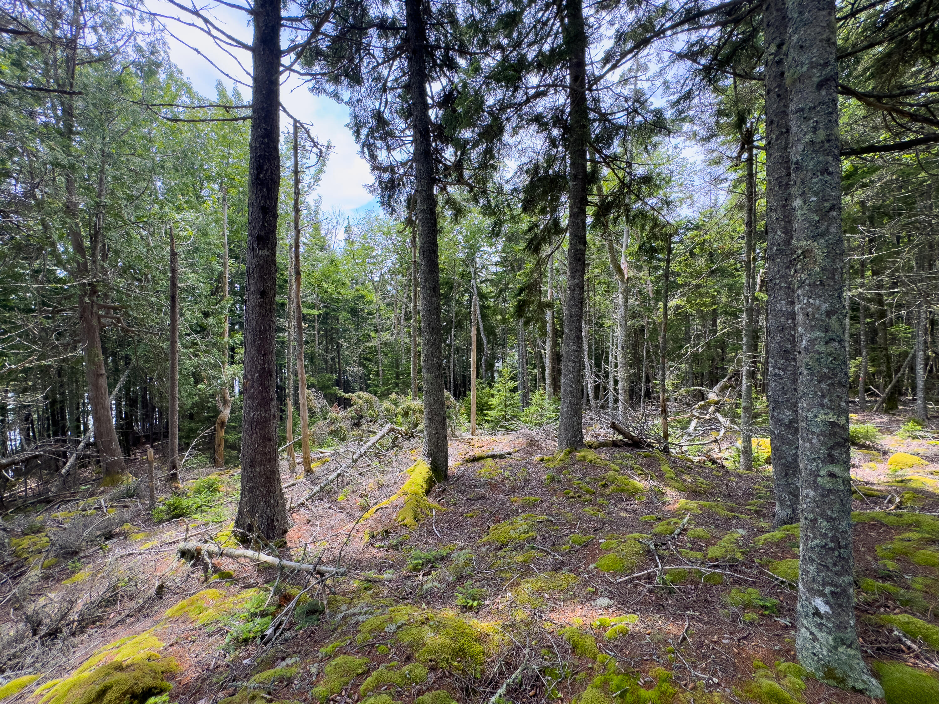 2-4 Looks Cemetery Road Jonesboro, ME 04648 - Photo 20 of 26 MACDOUGALL LOT-28