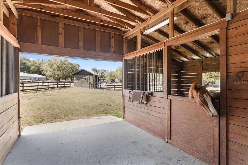 12 Carry Back Road Ocala, FL 34482 - Photo 59 of 88