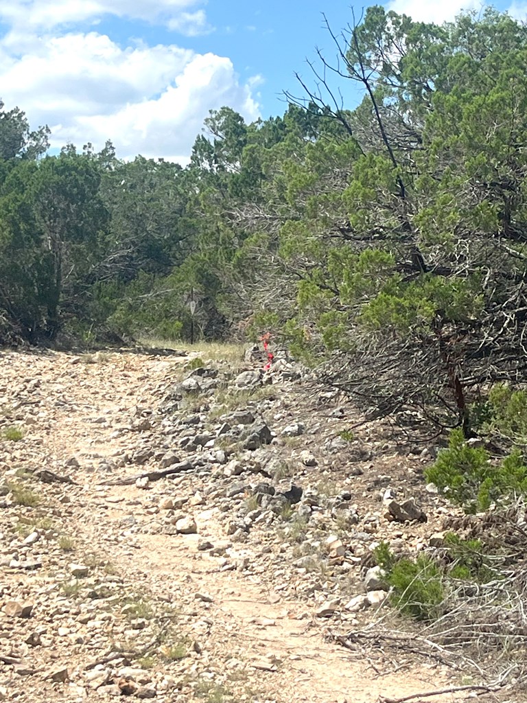 854 Pole Cave Crk Road Leakey, TX 78873 - Photo 18 of 21