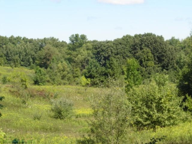 12311 7 Mile Road Northeast Belding, MI 48809 - Photo 1 of 2 Primary Photo