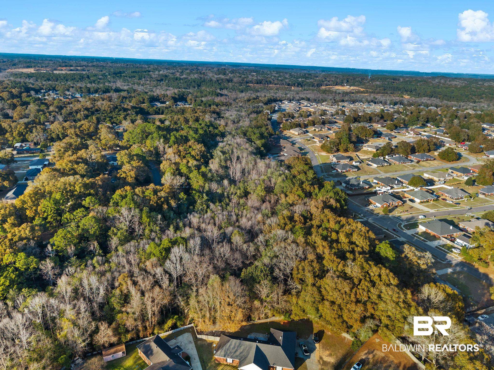 0 Meadow Lane Mobile, AL 36618 - Photo 7 of 8