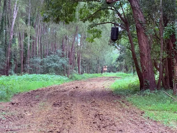 $400,000 | Bourke Road, Natchez, MS 39120