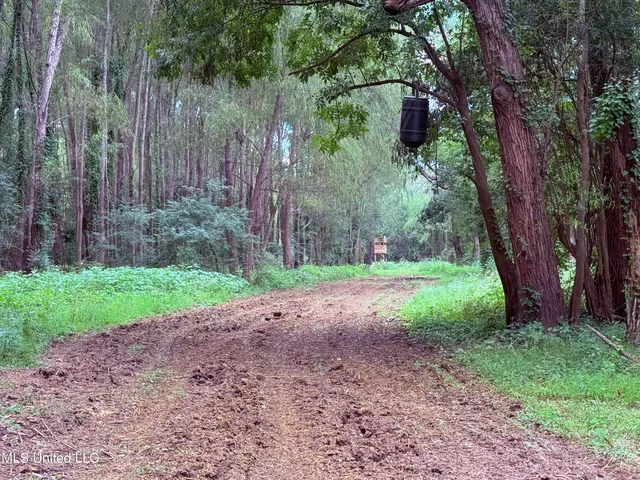$400,000 | Bourke Road, Natchez, MS 39120