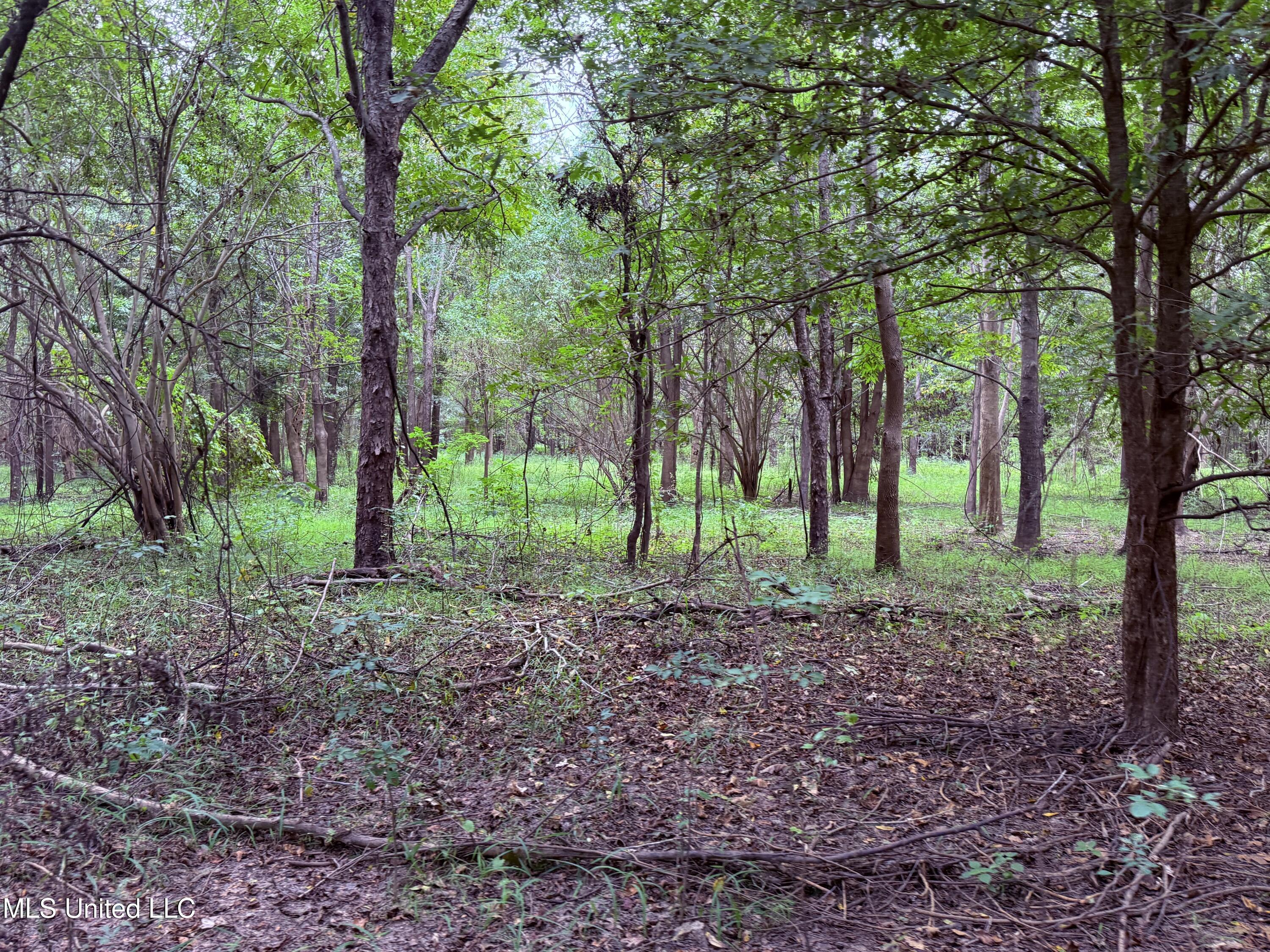 Bourke Road Natchez, MS 39120 - Photo 11 of 23 11.
