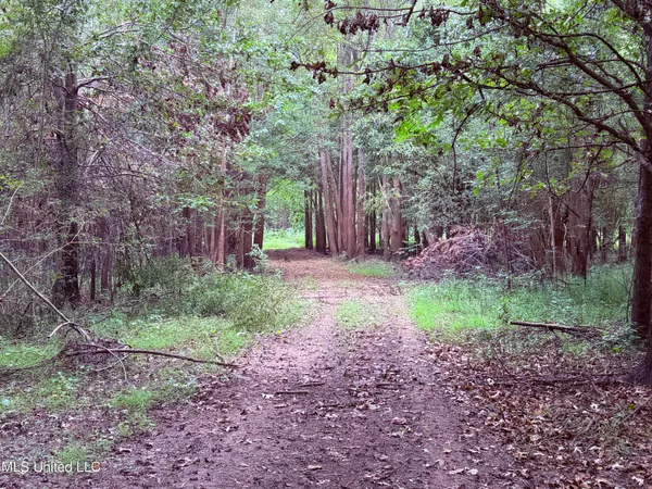 $400,000 | Bourke Road, Natchez, MS 39120