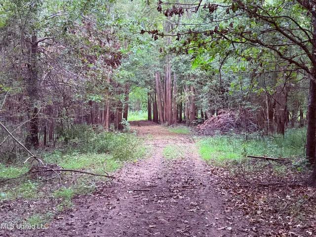 $400,000 | Bourke Road, Natchez, MS 39120