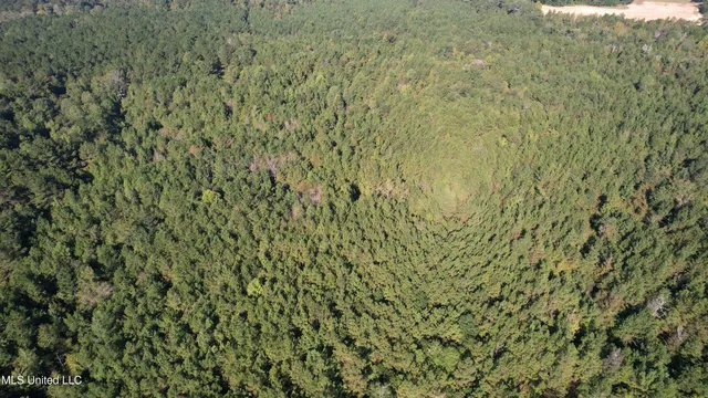 $400,000 | Bourke Road, Natchez, MS 39120