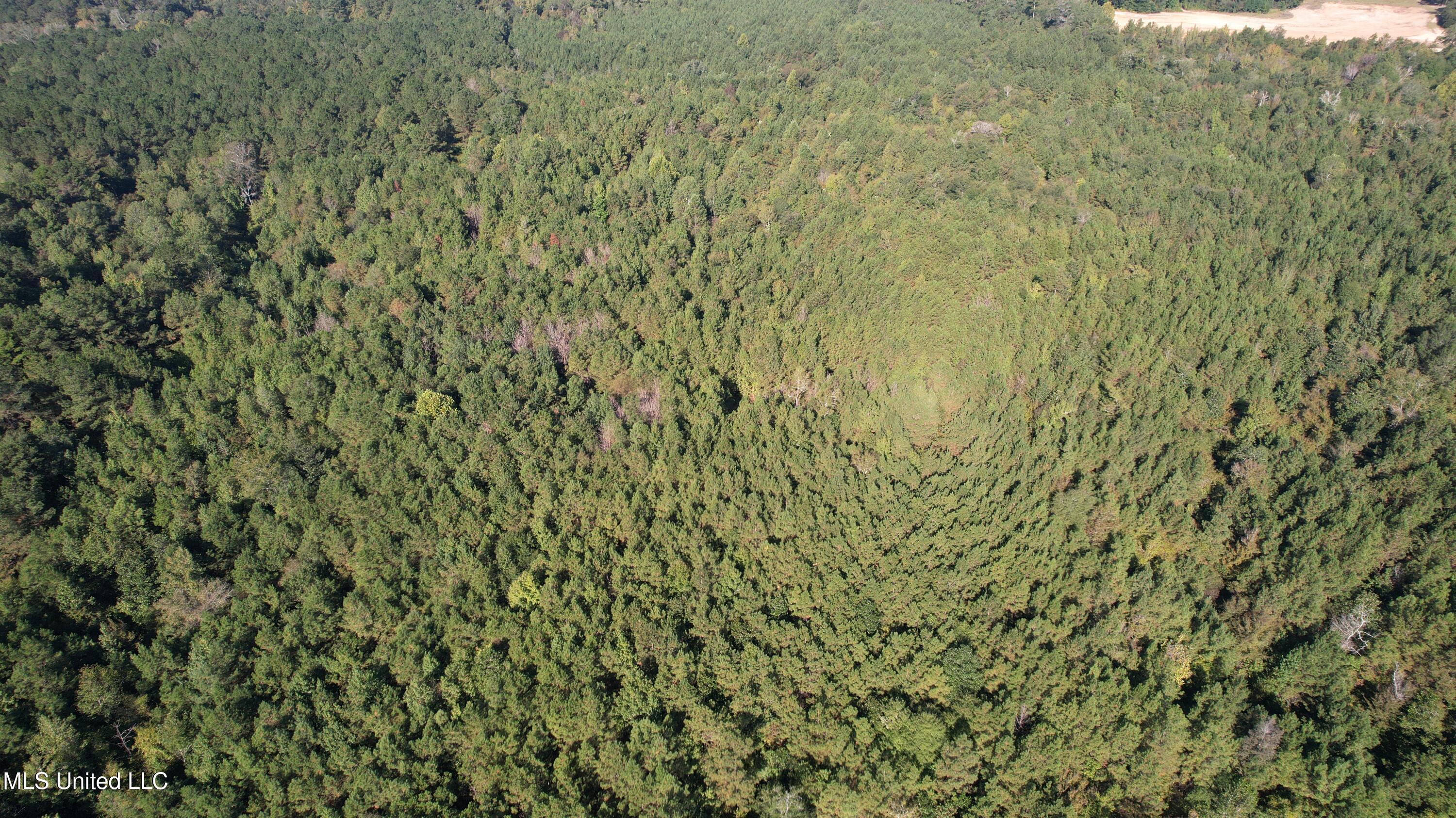 Bourke Road Natchez, MS 39120 - Photo 13 of 23 13.