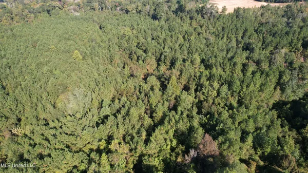 $400,000 | Bourke Road, Natchez, MS 39120