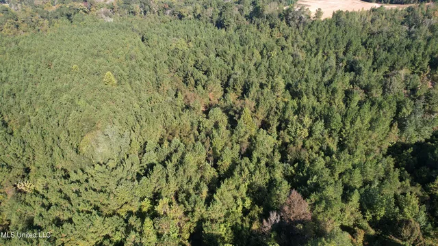 $400,000 | Bourke Road, Natchez, MS 39120