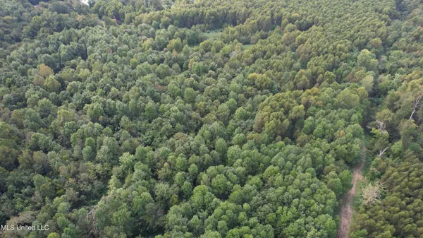 $400,000 | Bourke Road, Natchez, MS 39120