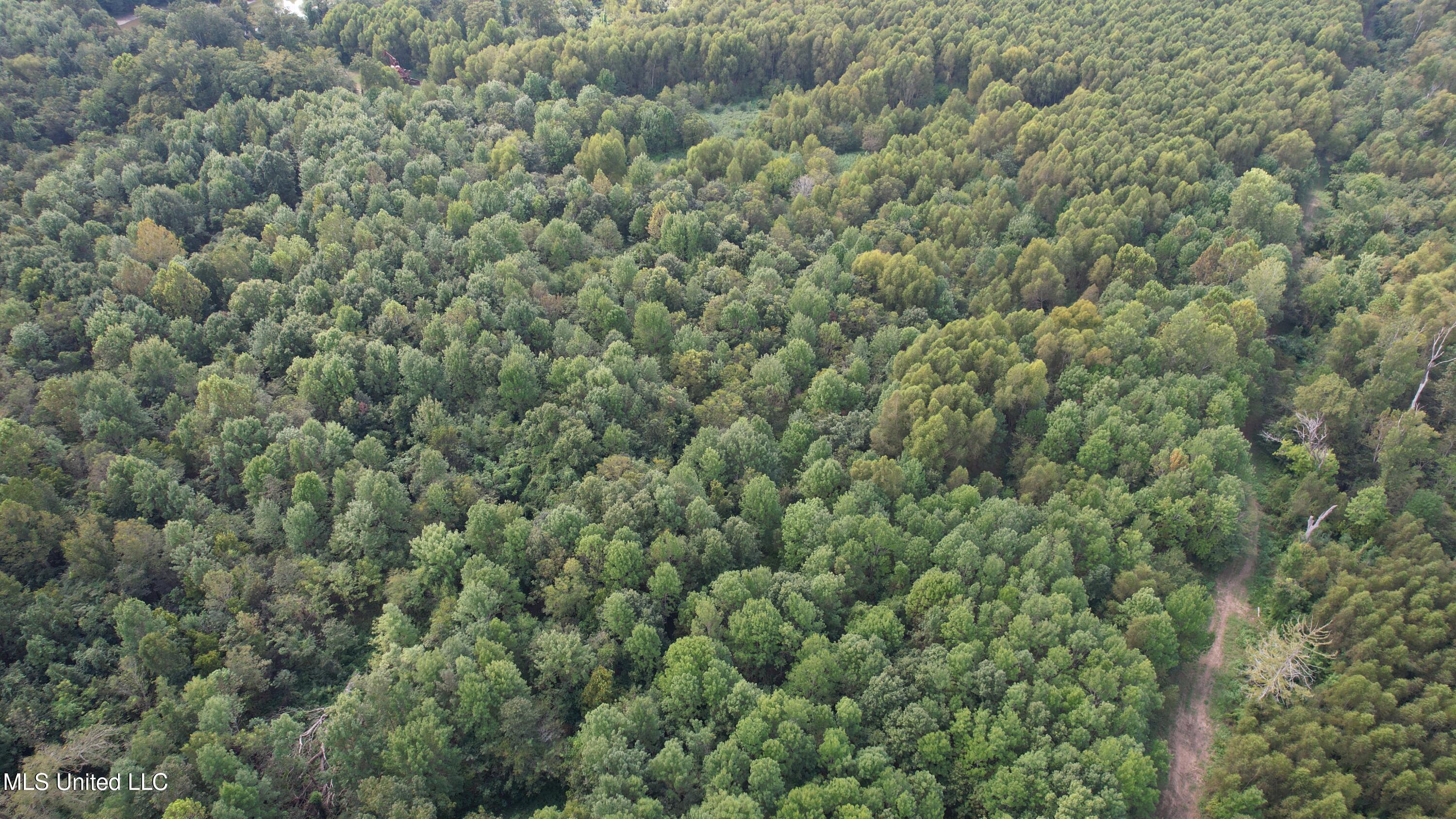 Bourke Road Natchez, MS 39120 - Photo 15 of 23 15.
