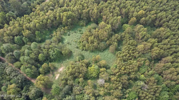 $400,000 | Bourke Road, Natchez, MS 39120