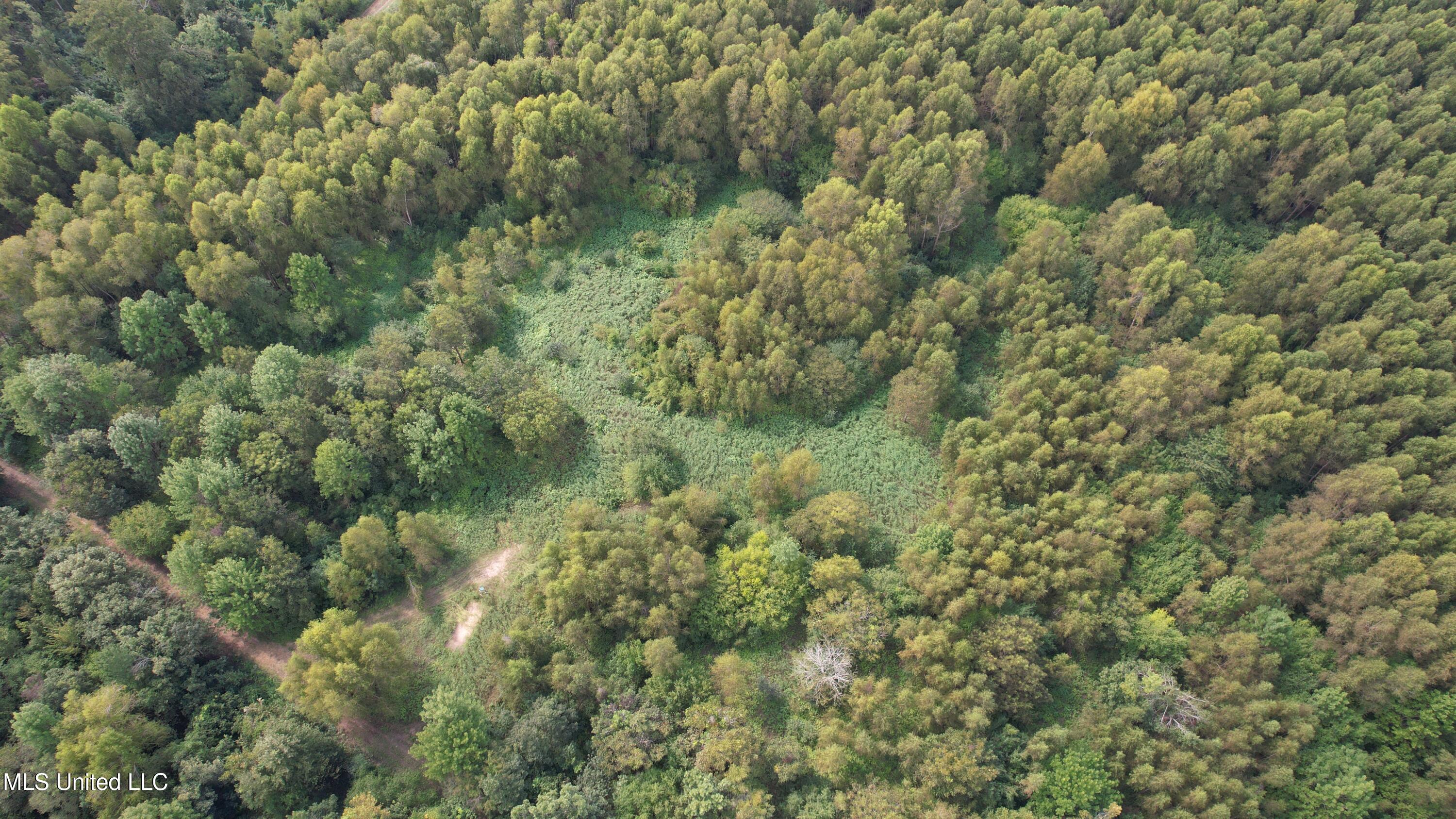 Bourke Road Natchez, MS 39120 - Photo 16 of 23 16.
