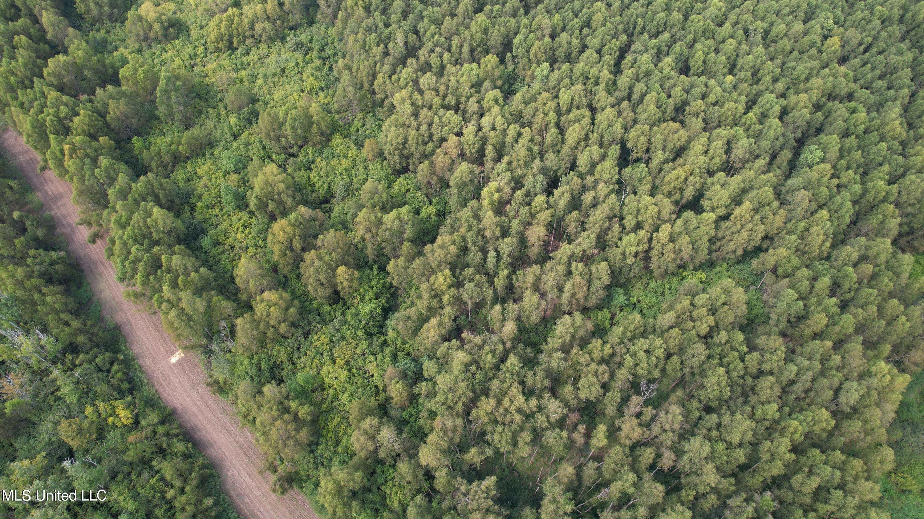 Bourke Road Natchez, MS 39120 - Photo 17 of 23 17.