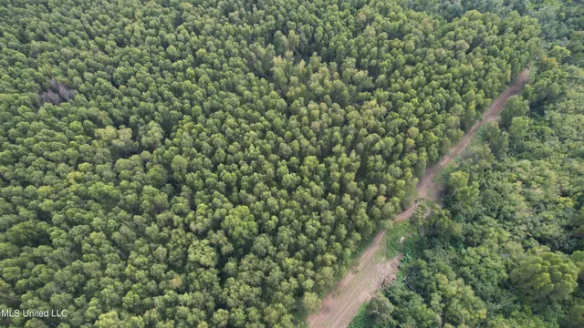 $400,000 | Bourke Road, Natchez, MS 39120